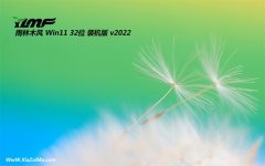 雨林木风win11最新32位分享特速版v2022.02